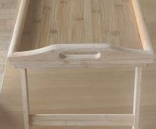 Tray table