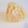 Natural Sponge Image 4