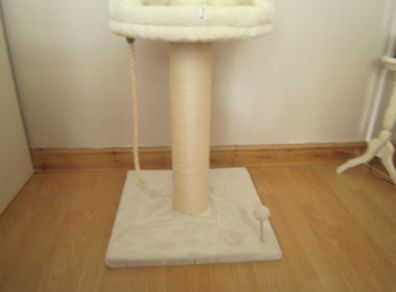 Cat Scratcher/Bed