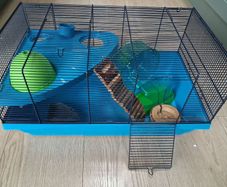 hamster cage and accessories
