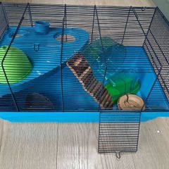 hamster cage and accessories