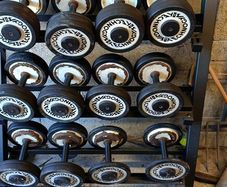 Dumbbells and rack, bench, dips station