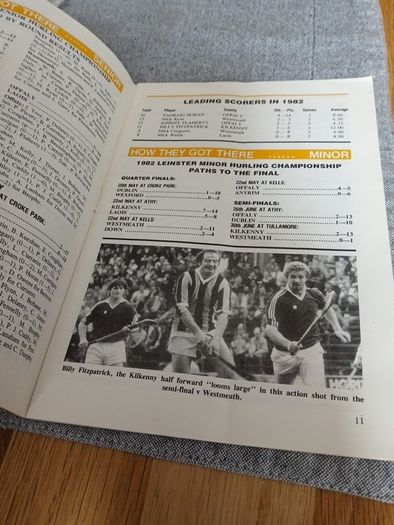 1982 Leinster Hurling final programme
