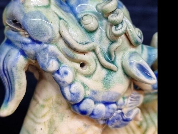 Spectacular large Chinese turtle dragon for luck