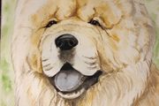 Watercolour pet portraits