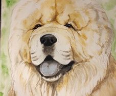 Watercolour pet portraits