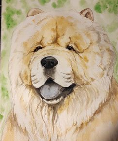 Watercolour pet portraits