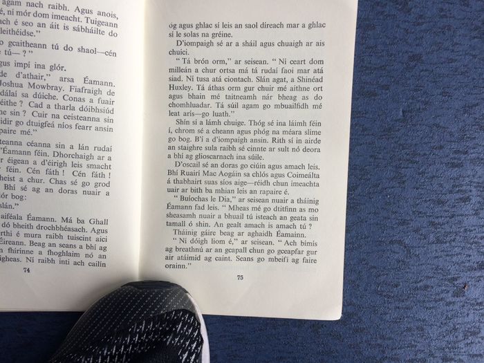 Leabhar- Ri na gCnoc 1st Edition