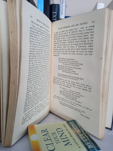 Essays in Irish Biography by W. F. P. Stockley (LP184)