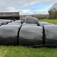 Silage bales