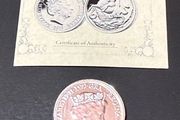 Sovereign Silver Coin