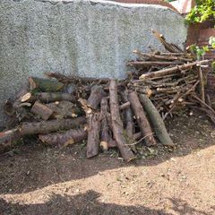 Firewood