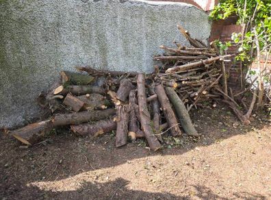 Firewood