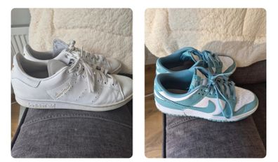 dunks and adidas