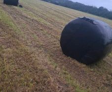 Silage bales