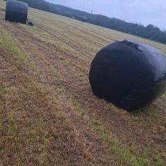 Silage bales