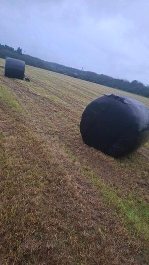 Silage Bales For Sale in Wexford Town, Wexford from donedealuser (#b012e)