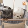 New Cat Tower Tree Play Area - FREE Delivery Image 6