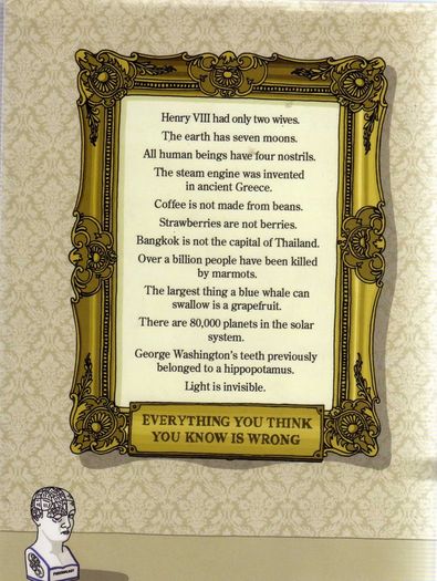 The Book Of General Ignorance