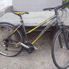 adult bike for sale