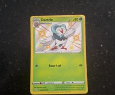 pokemon Arctozolt