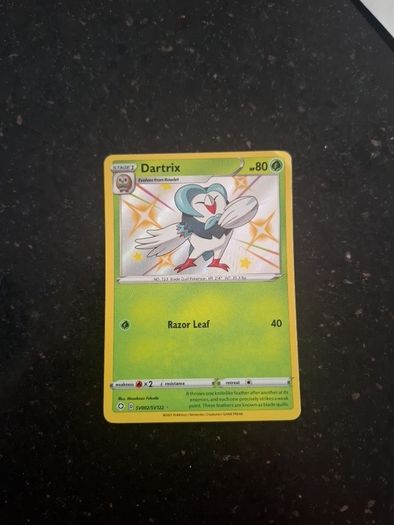 pokemon Arctozolt