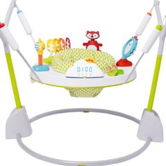 Skip Hop Foldaway Bouncer