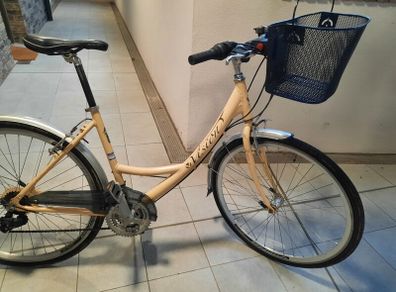 ladies city bike( can deliver)