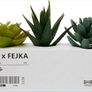 Ikea Mini Succulent Desk Plants Image 7