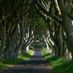 Mike0304