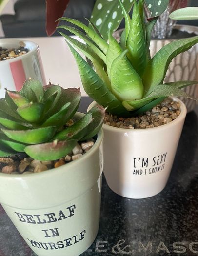 Selection of Five Artificial House Plants