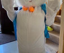 Bunny Costume