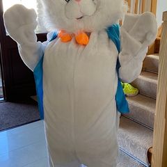 Bunny Costume