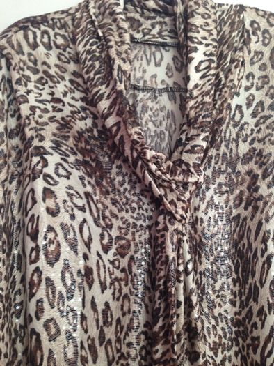 Brand new blouse