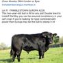 5 Choice Heifers and 6 Select Bulls Image 9