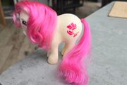 August Poppy Birth Flower Birthflower Birthday Mail Order MO HTF MLP G1 My Little Pony Hasbro