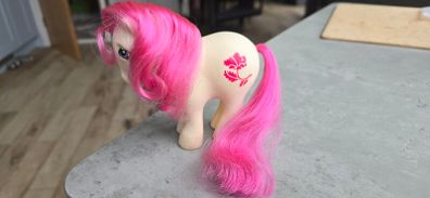 August Poppy Birth Flower Birthflower Birthday Mail Order MO HTF MLP G1 My Little Pony Hasbro