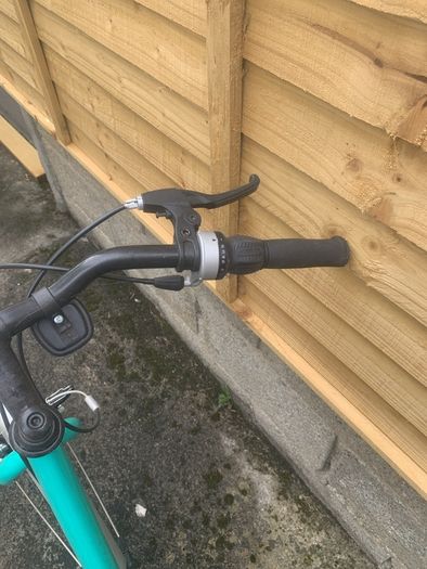 Teal womens bike