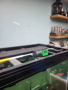 fish tank