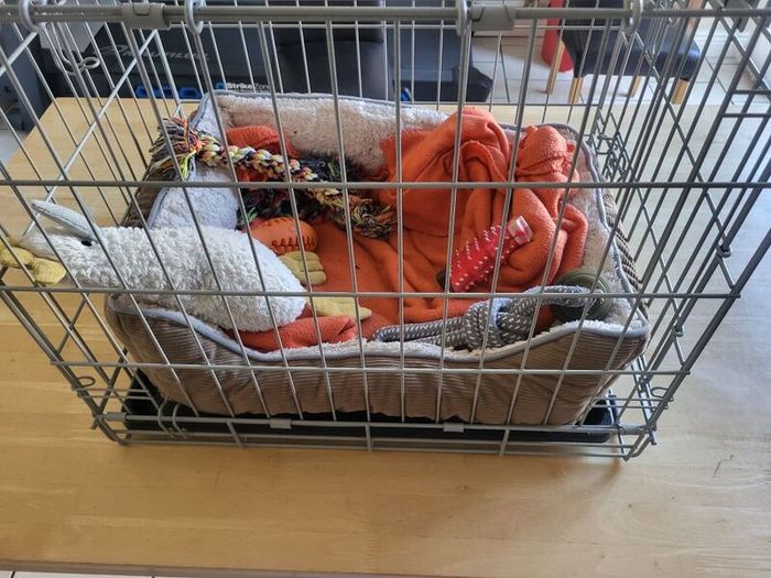 Dog Cage