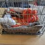 Dog Cage Image 2