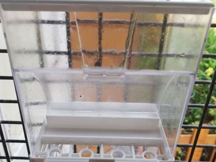 Bird  seed container