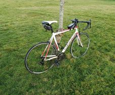 Orbea Road Bike