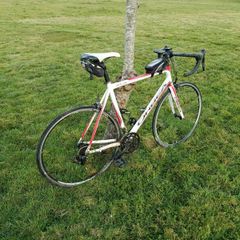 Orbea Road Bike