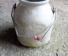 vintage milk bucket churn