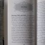 Books of Irish Heroes for Children Image 4