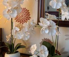 2 faux Orchid flowers in ceramic pots