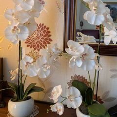 2 faux Orchid flowers in ceramic pots
