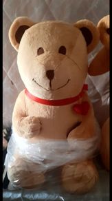 New teddy bear