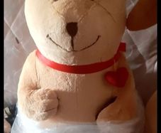New teddy bear
